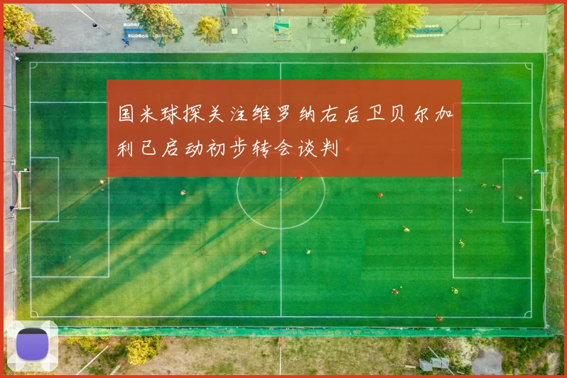 国米球探关注维罗纳右后卫贝尔加利已启动初步转会谈判