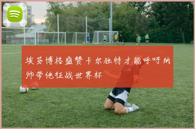 埃芬博格盛赞卡尔独特才能呼吁纳帅带他征战世界杯